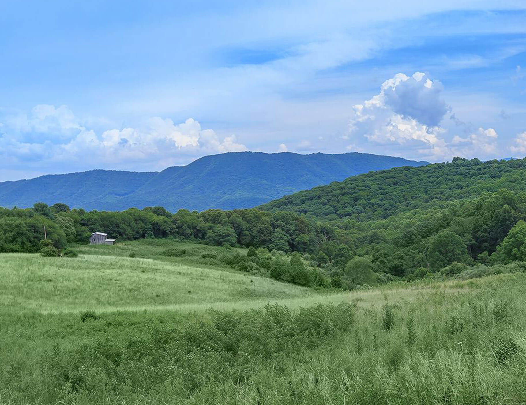 view of a lush mountain scenery